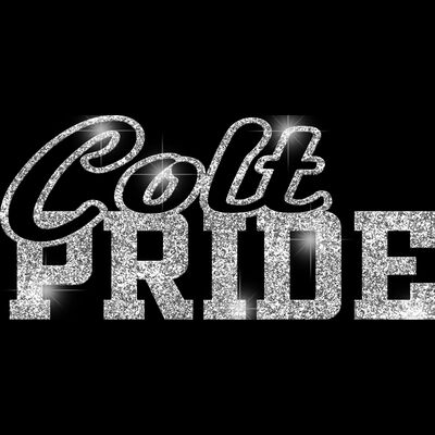 GLT59 SILVER GLITTER Thumbnail